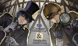 福尔摩斯动漫,探案传奇，智慧与勇气的完美对决